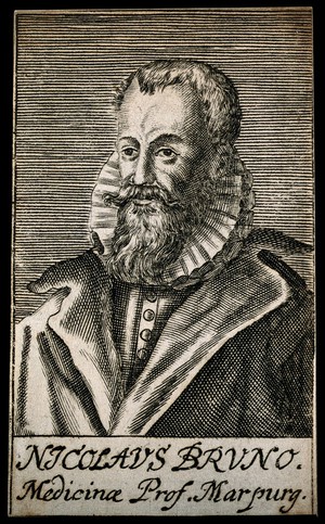 view Nikolaus Bruno. Line engraving, 1688.