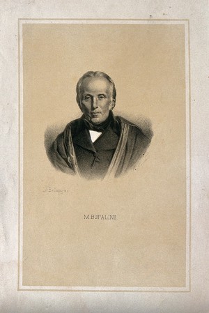 view Maurizio Bufalini. Lithograph.