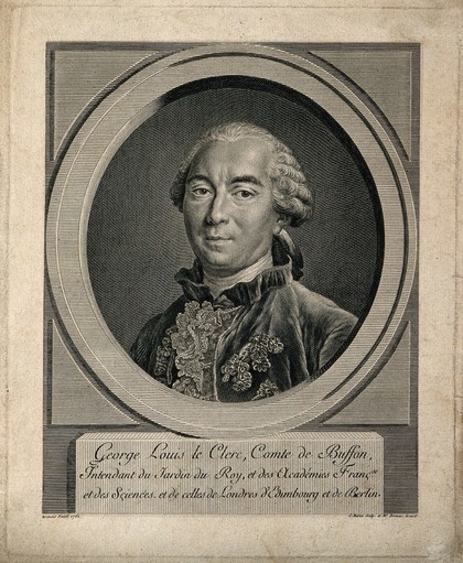 Georges Louis Leclerc, Comte de Buffon. Line engraving by C. Baron, 1774, after F. H. Drouais, 1761.