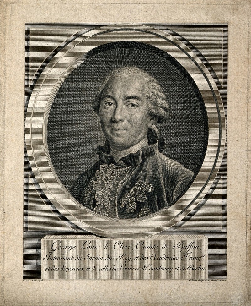 Georges Louis Leclerc, Comte de Buffon. Line engraving by C. Baron, 1774, after F. H. Drouais, 1761., 1774, by François-Hubert Drouais