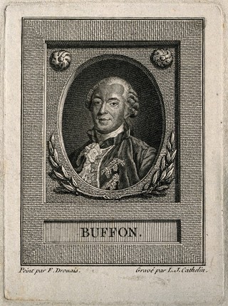 Georges Louis Leclerc, Comte de Buffon. Line engraving by L.J. Cathelin, 1800, after F. H. Drouais, 1761.