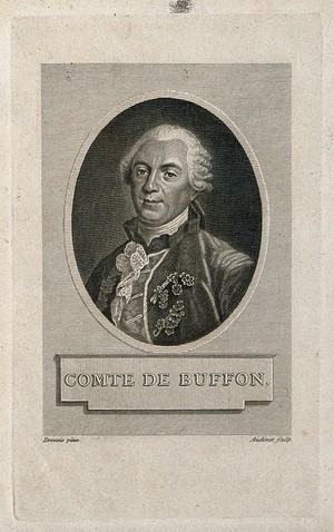 view Georges Louis Leclerc, Comte de Buffon. Line engraving by A. Massard.
