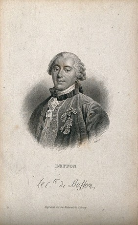 Georges Louis Leclerc, Comte de Buffon. Line engraving by W. H. Lizars, 1843.