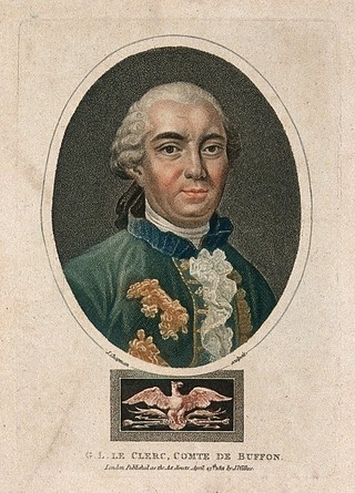 Georges Louis Leclerc, Comte de Buffon. Coloured stipple engraving by J. Chapman, 1801.