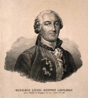 Georges Louis Leclerc, Comte de Buffon. Lithograph.