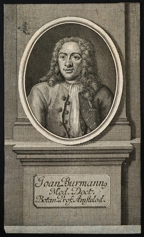 Joannes Burmann. Line engraving.