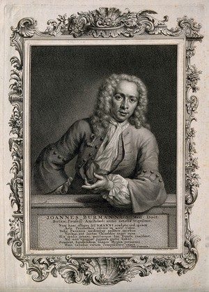 view Joannes Burmann. Line engraving by J. Houbraken after J. M. Quinkhard, 1736.