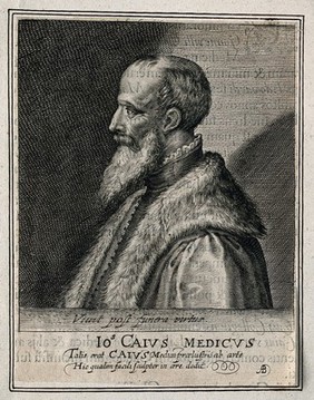 John Caius. Line engraving by W. and /or M. van der Passe, 1620.