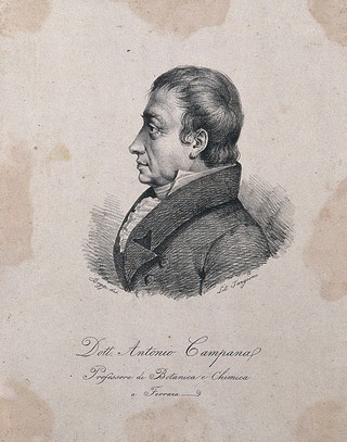 Antonio Campana. Lithograph by F. Boggi.