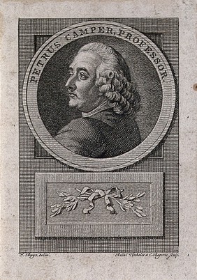 Petrus Camper. Line engraving by R. Vinkeles and C. Bogerts, 1792, after J. Buys.