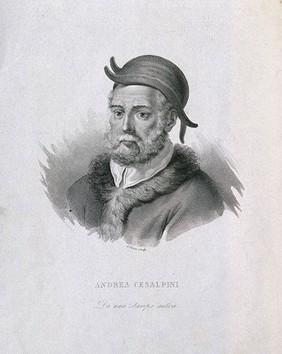 Andrea Cesalpino. Line engraving by G. Guzzi.