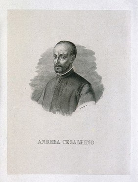 Andrea Cesalpino. Line engraving by E. Conquy.