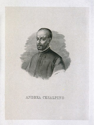 Andrea Cesalpino. Line engraving by E. Conquy.
