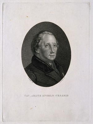 view Giovanni Angelo Cesaris. Line engraving by P. Caronni after N. Mellini.