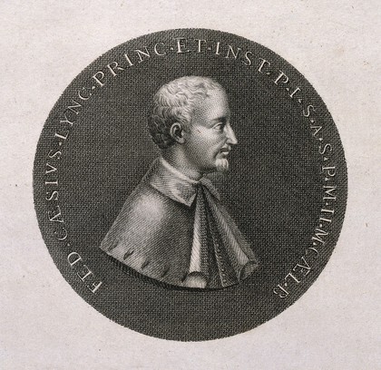 Federigo Cesi, and a lynx: obverse and reverse of a medal showing him as a member of the Accademia dei Lincei. Line engraving.