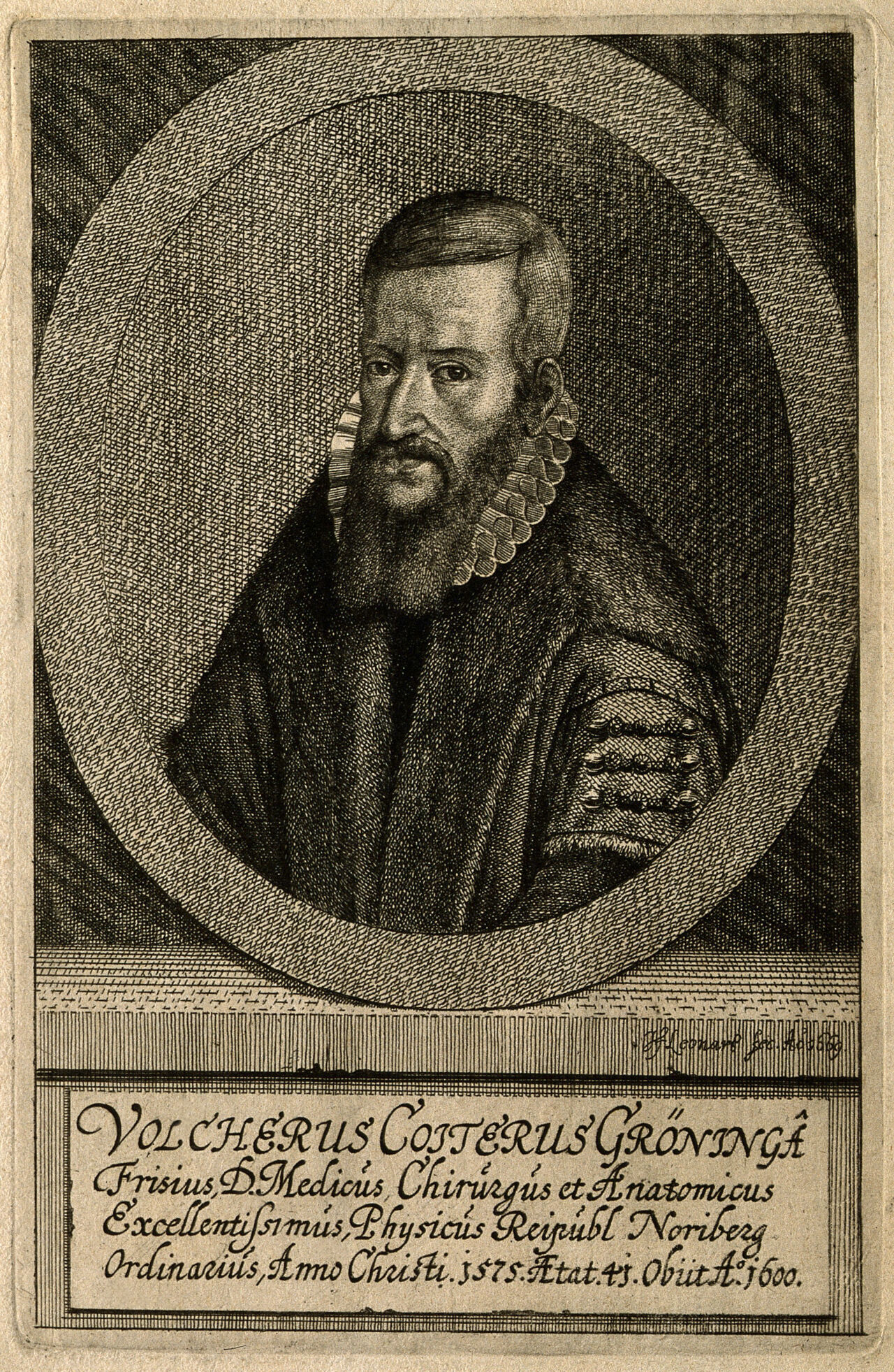 Volcher Coiter. Etching by J. F. Leonart, 1669, after N. Neufchatel, 1575., 1669, by Nicolas Neufchatel