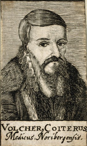 Volcher Coiter. Line engraving, 1688.