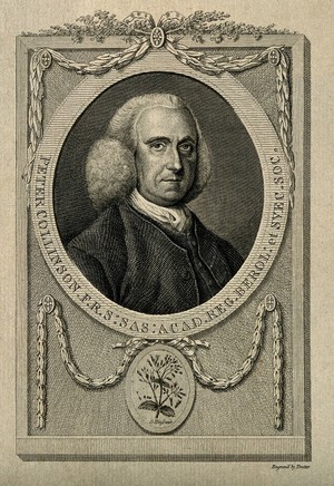 view Peter Collinson. Line engraving by T. Trotter, 1783.