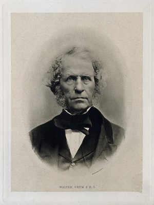 view Walter Crum. Photogravure by Maclure & Macdonald.