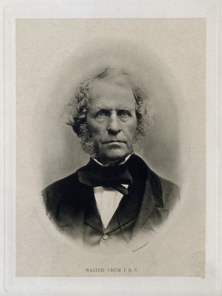 Walter Crum. Photogravure by Maclure & Macdonald.