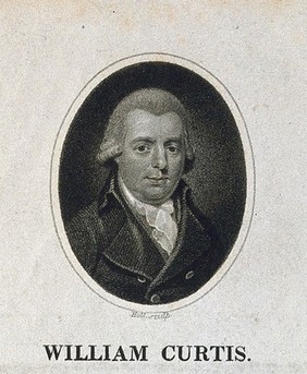 William Curtis. Stipple engraving by W. Holl.