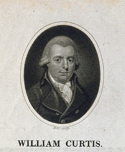 William Curtis. Stipple engraving by W. Holl.