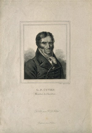 view Georges-Léopold-Chrétien-Frédéric-Dagobert, Baron Cuvier. Line engraving by A. Massard.