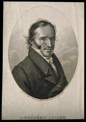 Georges-Léopold-Chrétien-Frédéric-Dagobert, Baron Cuvier. Stipple engraving by A. Tardieu, 1826, after himself.
