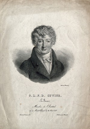 view Georges-Léopold-Chrétien-Frédéric-Dagobert, Baron Cuvier. Lithograph, after N. Jacques.