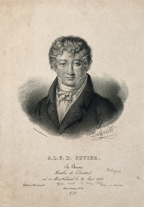 Georges-Léopold-Chrétien-Frédéric-Dagobert, Baron Cuvier. Lithograph by Delaporte after N. Jacques.