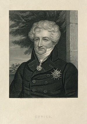 view Georges-Léopold-Chrétien-Frédéric-Dagobert, Baron Cuvier. Stipple engraving by J. Thomson.