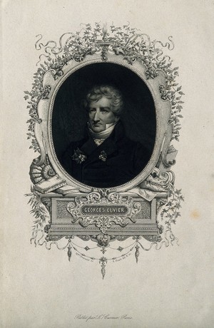 view Georges-Léopold-Chrétien-Frédéric-Dagobert, Baron Cuvier. Stipple engraving by Félicie Fournier after A. Féart.