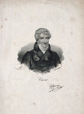 Georges-Léopold-Chrétien-Frédéric-Dagobert, Baron Cuvier. Lithograph by [M.].