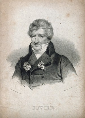 view Georges-Léopold-Chrétien-Frédéric-Dagobert, Baron Cuvier. Lithograph by C. Hamburger.