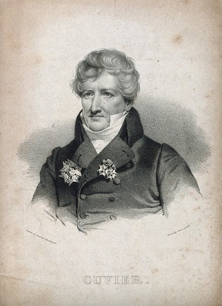 Georges-Léopold-Chrétien-Frédéric-Dagobert, Baron Cuvier. Lithograph by C. Hamburger.