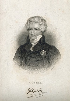 view Georges-Léopold-Chrétien-Frédéric-Dagobert, Baron Cuvier. Line engraving by W. H. Lizars, 1840.