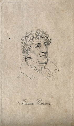 Georges-Léopold-Chrétien-Frédéric-Dagobert, Baron Cuvier. Etching.