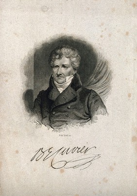 Georges-Léopold-Chrétien-Frédéric-Dagobert, Baron Cuvier. Line engraving by R. Bell.