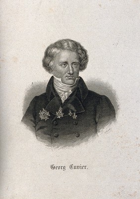 Georges-Léopold-Chrétien-Frédéric-Dagobert, Baron Cuvier. Line engraving by V. Froer after H. W. Pickersgill, 1831.