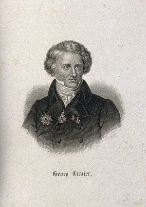 view Georges-Léopold-Chrétien-Frédéric-Dagobert, Baron Cuvier. Line engraving by V. Froer after H. W. Pickersgill, 1831.