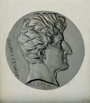 view Georges-Léopold-Chrétien-Frédéric-Dagobert, Baron Cuvier. Line engraving by A. Collas after P. J. David, 1832.