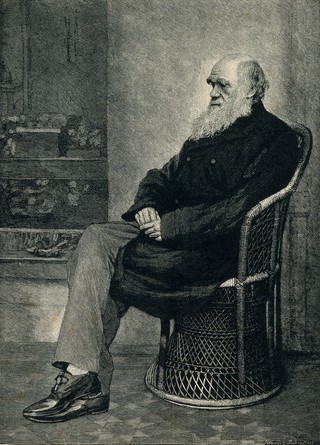 Charles Robert Darwin. Wood engraving by T. Johnson, 1883, after L. Darwin, 1874.