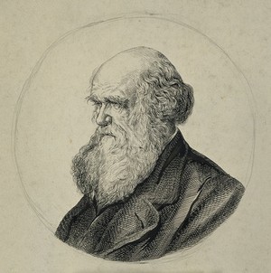 view Charles Robert Darwin. Pen and ink drawing.