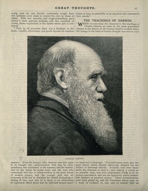 view Charles Robert Darwin. Wood engraving.