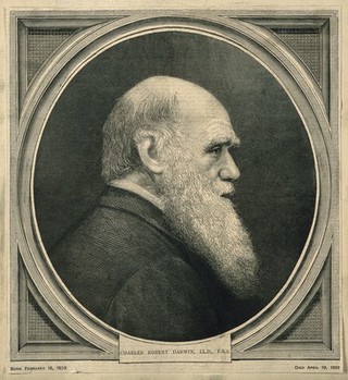 Charles Robert Darwin. Wood engraving.