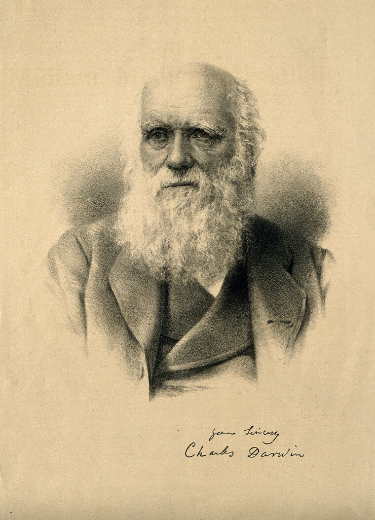 Charles Robert Darwin. Lithograph. | Wellcome Collection