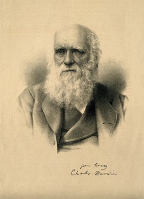 Charles Robert Darwin. Lithograph.