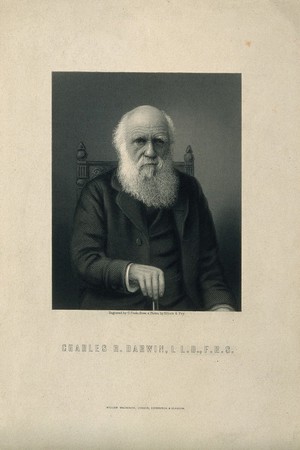 view Charles Robert Darwin. Line engraving by C. Cook after Elliot & Fry.