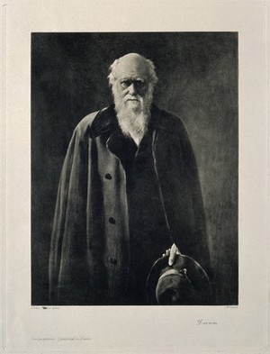 view Charles Robert Darwin. Photogravure after the Hon. J. Collier, 1881.