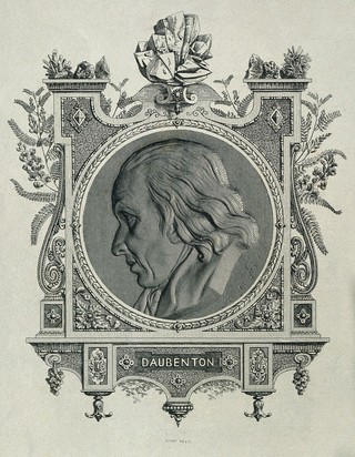 Louis-Jean-Marie Daubenton. Line engraving by A. Féart, 1854, after himself.